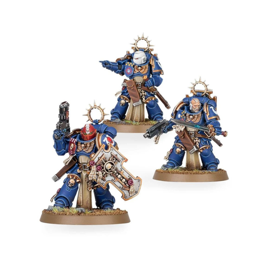 Warhammer 40k Space Marines Bladeguard Veterans Box und bemalte Elite-Infanterie Miniaturen mit Schwertern und Schilden
