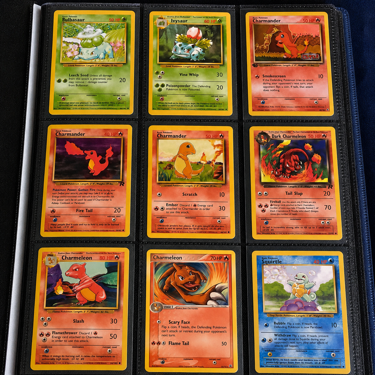 Pokémon Sammelkarten in einem Kartenbinder mit mehreren Kartenfächern und klassischen Kartenmotiven.